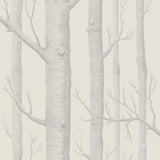 112/3011 - Woods 1