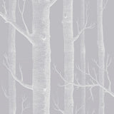 112/3012 - Woods 1