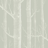 112/3013 - Woods 1