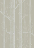 112/3013 - Woods 1