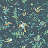 112/4014 - Hummingbirds 1