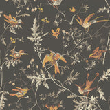 112/4017 - Hummingbirds 1