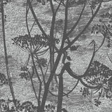 112/8026 - Cow Parsley 1