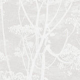 112/8027 - Cow Parsley 1