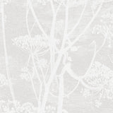 112/8027 - Cow Parsley 1