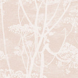 112/8028 - Cow Parsley 1