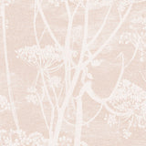112/8028 - Cow Parsley 1