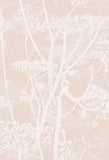112/8028 - Cow Parsley 1