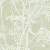 112/8029 - Cow Parsley 1