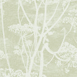 112/8029 - Cow Parsley 1