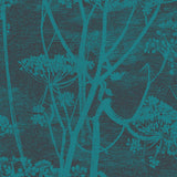 112/8030 - Cow Parsley 1