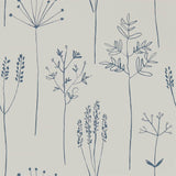 Stipa - 112019
