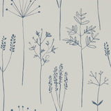 Stipa - 112019