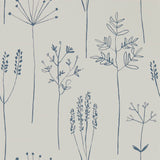 Stipa - 112019