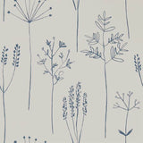 Stipa - 112019