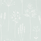 Stipa - 112020