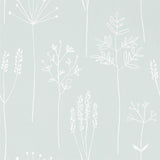 Stipa - 112020