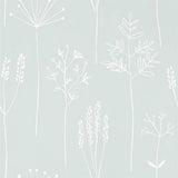 Stipa - 112020