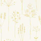 Stipa - 112021