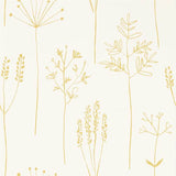 Stipa - 112021