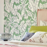 Parlour Palm - 112022