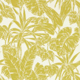 Parlour Palm - 112022