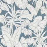 Parlour Palm - 112023