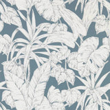Parlour Palm - 112023