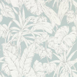 Parlour Palm - 112025