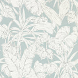 Parlour Palm - 112025