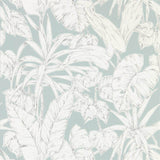 Parlour Palm - 112025