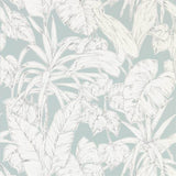 Parlour Palm - 112025