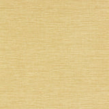 Chronicle - 112100