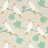 Love Birds - 112219