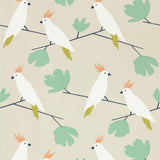 Love Birds - 112219