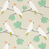Love Birds - 112219