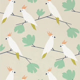 Love Birds - 112219