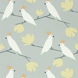 Love Birds - 112222
