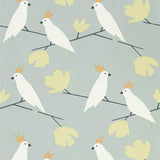 Love Birds - 112222