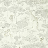Shamwari - 112243