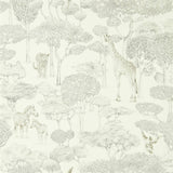 Shamwari - 112243