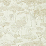 Shamwari - 112244