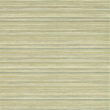 Gradiate - 112756