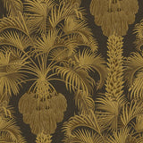 113/1001 - Hollywood Palm