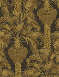 113/1001 - Hollywood Palm