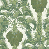 113/1004 - Hollywood Palm