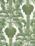 113/1004 - Hollywood Palm