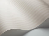 113/15044 - Eden Stripe