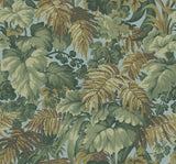 113/3008 - Royal Fernery