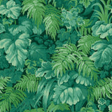 113/3009 - Royal Fernery